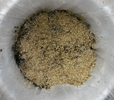 bulk1_703_verm.jpg
