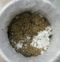 bulk1_cont.jpg