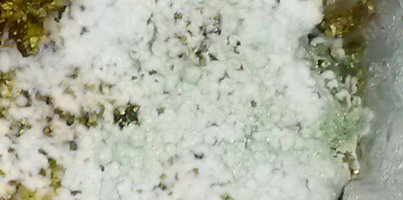 bulk1_cont_zoom.jpg
