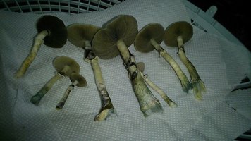 AkeFwQxGUomaPTEYDv7tcRORwJbW3UFLFhcPrVTL9x8A.jpg