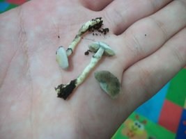 100_1853.jpg