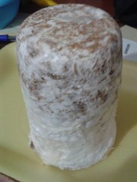 bolo colonizado.jpg