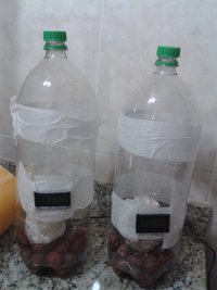 os 2 terrários de frente.jpg