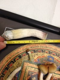 foto 4.JPG
