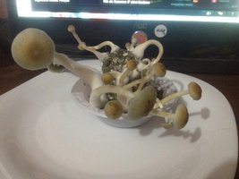 022.JPG 022.JPG