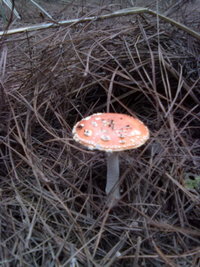 05.jpg