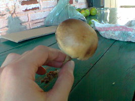 Foto0142.jpg