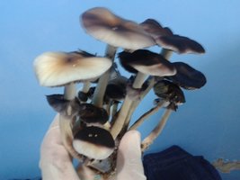 20150710_224141.jpg