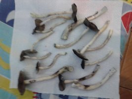 20150710_230844.jpg