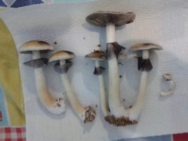 20150711_103143.jpg