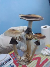 20150711_103715.jpg
