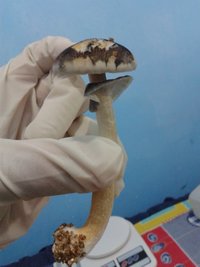 20150711_103736.jpg
