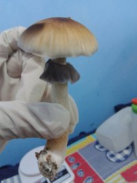 20150711_103727.jpg