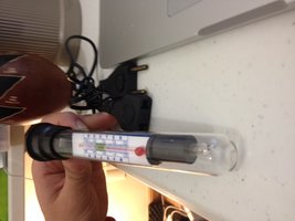 foto 3.JPG