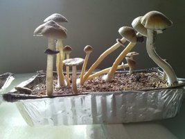 CAM00416.jpg