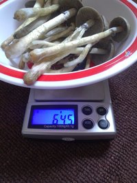 CAM00422.jpg
