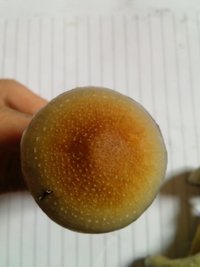 CAM00423.jpg