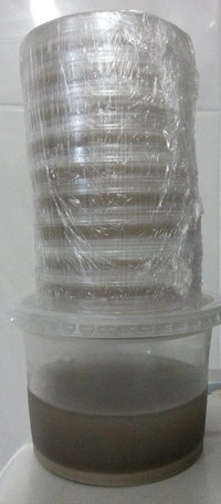 petri_707.jpg
