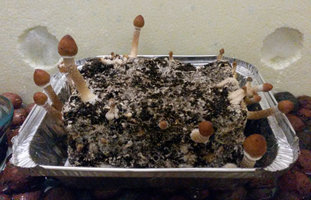 casing_720_2.jpg