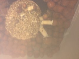 foto 4.JPG