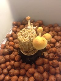 foto 6.JPG