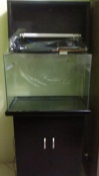 IMG_20150723_161545269.jpg