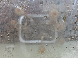 casing_721_1.jpg