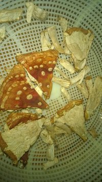 WP_20150728_014.jpg