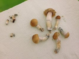 foto 6.JPG