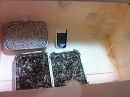 foto 1 (2).JPG