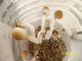 100_46401.jpg
