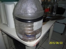 100_4699.JPG
