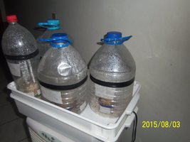 100_4696.JPG