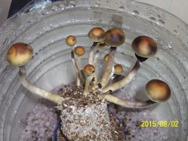 100_4685.JPG