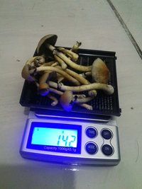 CAM00470.jpg