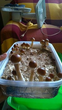 AinKK5QBmfLqsqyJY1wxPFkSalJQuJwe-xLU27vSjpDf.jpg