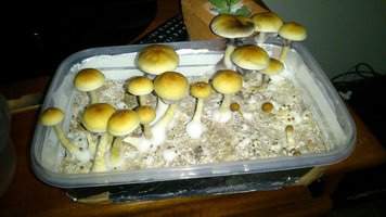 Av9JjrT8UC6_KwUiZF1UK-RACVc3joAMV2yZg5ML2rsD.jpg