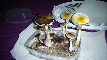 As2Ko1q2EiyYthk98B7E53GfBhwIYU1gM8jVQ6KRVqTu.jpg