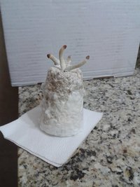 20150805_142233.jpg