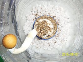 100_4722.JPG