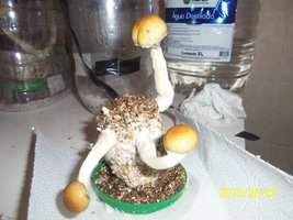 100_4723.JPG