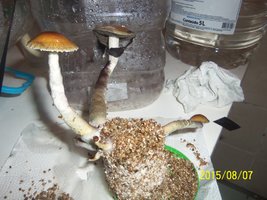 100_4728.JPG