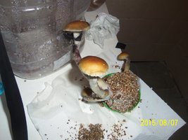 100_4729.JPG