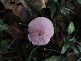 IMG_1583.JPG