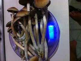 foto 5.JPG