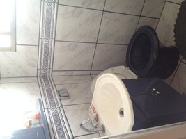 IMG_3781.JPG