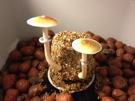 foto 3.JPG