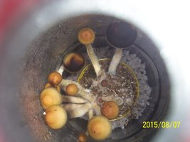 100_4752.JPG