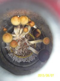 100_4754.JPG