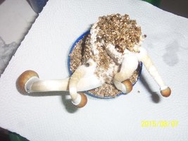 100_4764.JPG